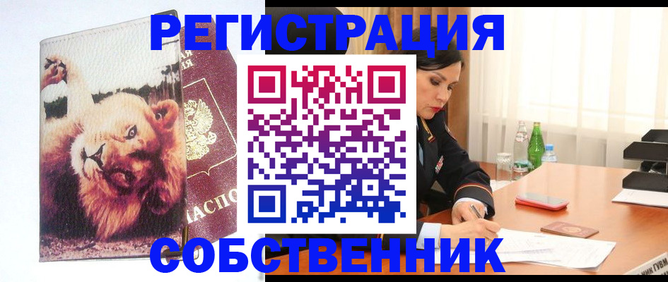 прописка от собственника в Асбесте